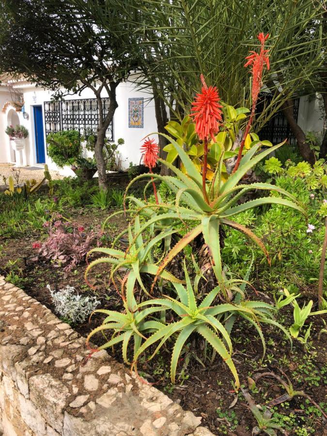 Charming Villa With Heated Pool Near Sandy Beach, Hiking, Golf And Wineries Praia Da Luz Zewnętrze zdjęcie